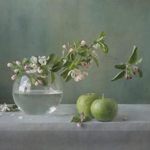 ���� ��������: ������ � �����