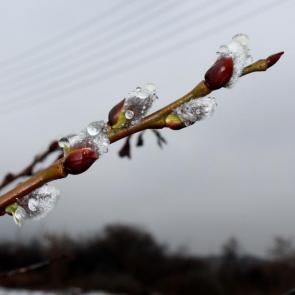 ���� ��������: 