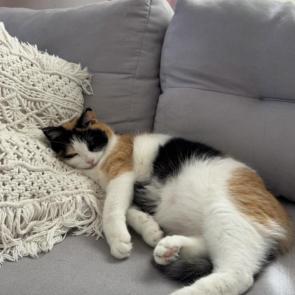 ����: ����� ��� ������ ����