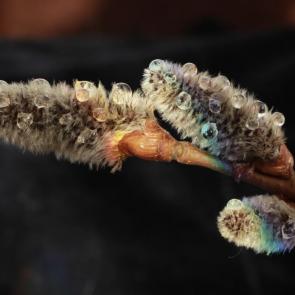 ����������