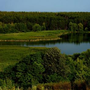 ��������� �� ����������