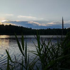 ����: ������ �����