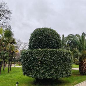 �������� � ���������� �������