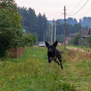 ����: ������� ������� ������