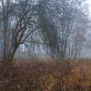 �������� � ���������� �������