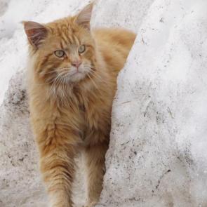 ���� � �����