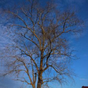 �������� � ���������� �������