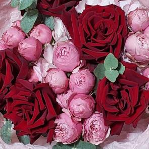 ����: ����� �� ���