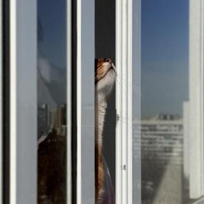 ����: ������� ������ 