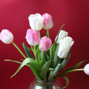 ���� ��������: �������� ����� 