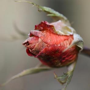 ���� ��������: ���� �� ����