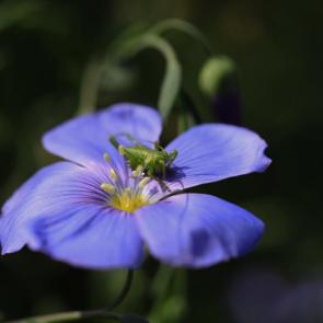 ���� ��������: � ������ ����� �������� 