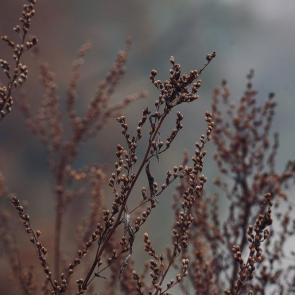 ���� ��������