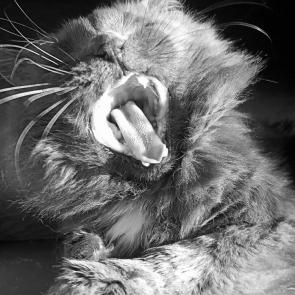 ���� � �����