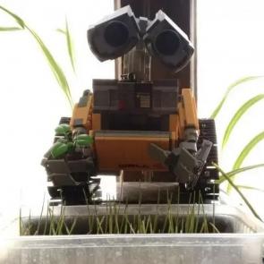 ����: �������