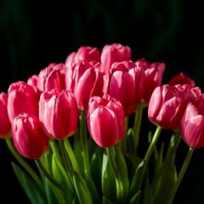 ����: �������� &amp;#65533; 