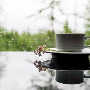 ����: ������� �������� 