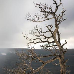 ����: �� ����...