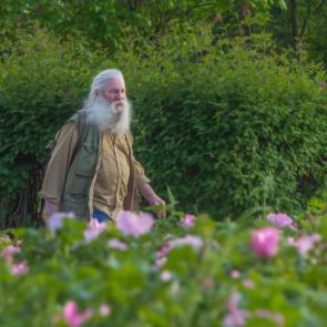 ���� ��������: ��� ���� �����...