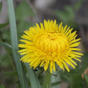 ����: ������ ���������� - ������� ��������)