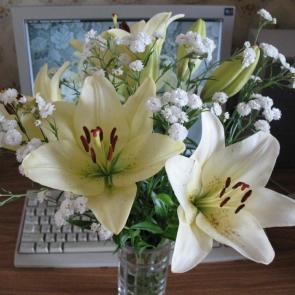 ���� ��������: ����� �����