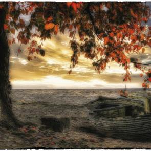 ����: ����� ������� �������.