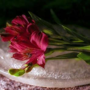 ����: �� ����.