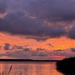 ����: �������� �����