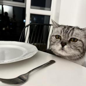 ����: � ��� ���?