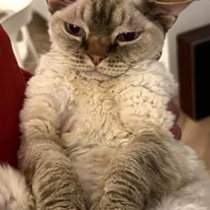 ����: ��� ��� ����� 