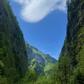 ����: �������