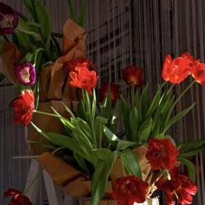 ����: ���������� ����� 