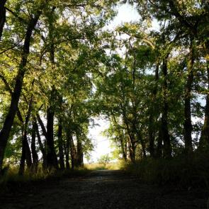 ���������� � �������