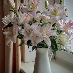 ����: ����������� �����