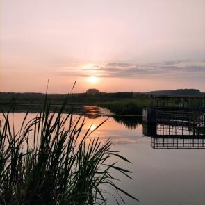 ����: �����