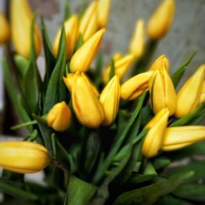 ����: Ƹ���� ��������