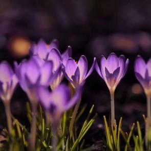 ���� ��������: � ����� ����� �����... 