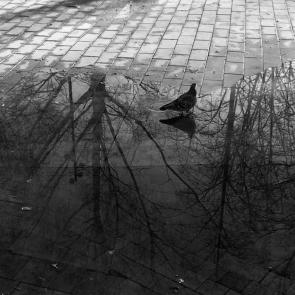 ��������� �� ����������