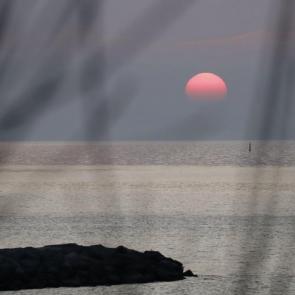 ����: ������ ��������