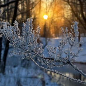 ����: ������ ������� 