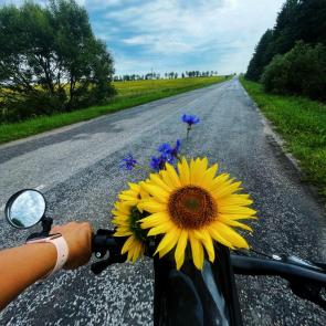 ����: ��������� 