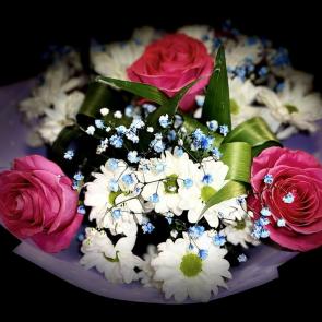 ����: � ���� �������� 