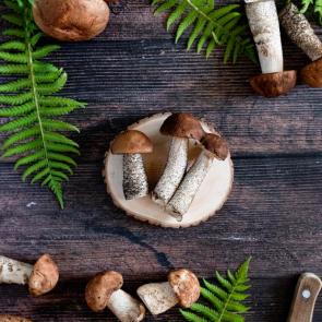 ���� ��������: 