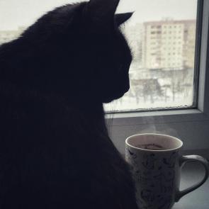 ����: ����� � ����