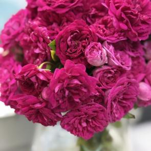 ����: 