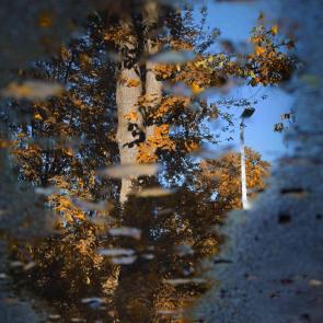 ����: ������� ������. 