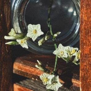 ����: 