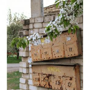 ���� ��������: �����