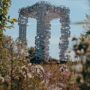 ���� ��������: �����