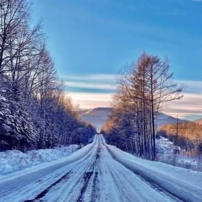 ����: ������ ������